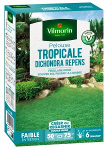 Pelouse Tropicale - Dichondra Repens - 500 g